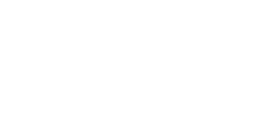 Integrative Enneagram Solutions Logo